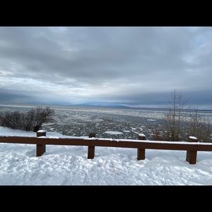 Meet your Posher, Misty